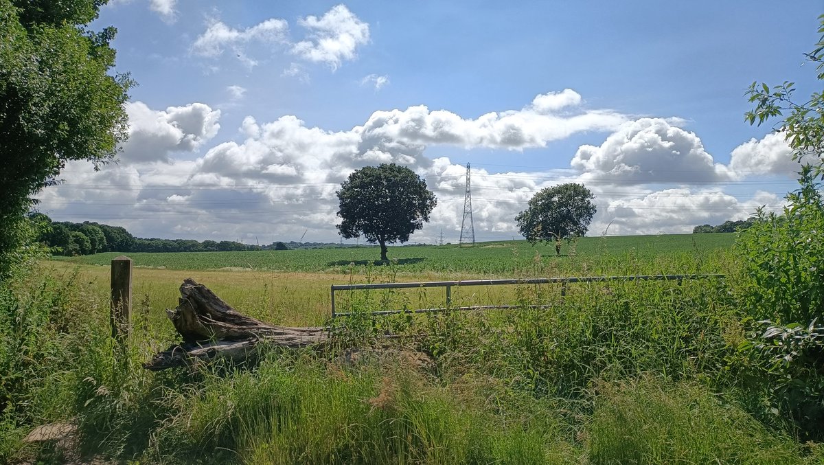 Another lovely day! How will I cope! 😁
#Rotherham #Yorkshire #GetOutside