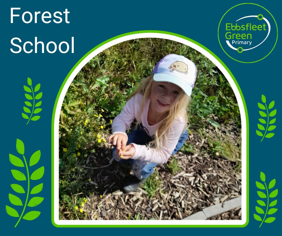 In Forest School, the children were in awe of the colours they could see within their environment. They observed many flowers and plants of all shapes, sizes and colours and counted the petals. Some children collected different coloured petals to create a rainbow design 🌈