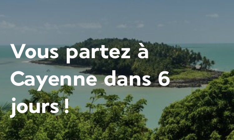 Whitney 🚀 tweet media