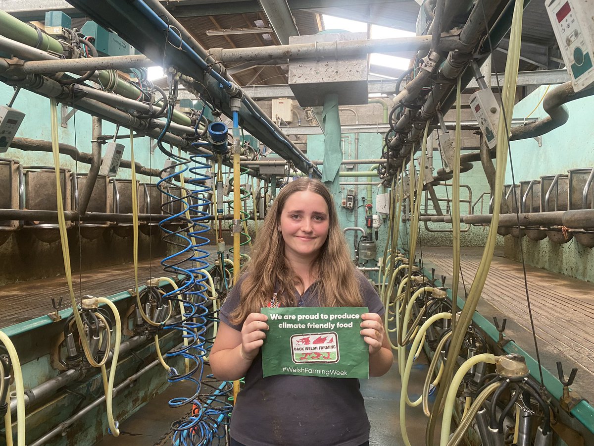 Alicia turned up on my yard last night asking for work experience. 

From the city & she wants to be a farmer 🎉

By 11 this morning she’s milked the cows with me, fed the calves & scraped the sheds 💪🏼

I love a bit of determination 🙌🏼
#WelshFarmingWeek 
#NextGeneration