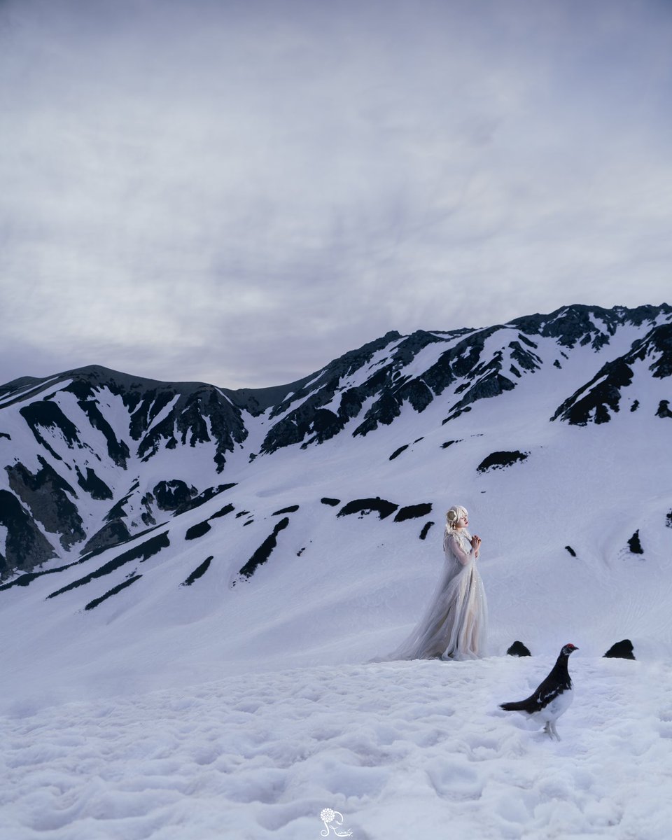 #フォロワーの8割が経験したことないこと

雪山でドレスを着て自撮りしてたら
天然記念物である雷鳥とツーショットが撮れた
