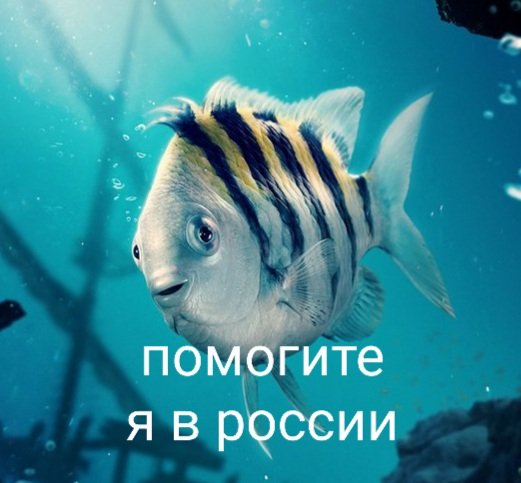 @optimisster сукааа