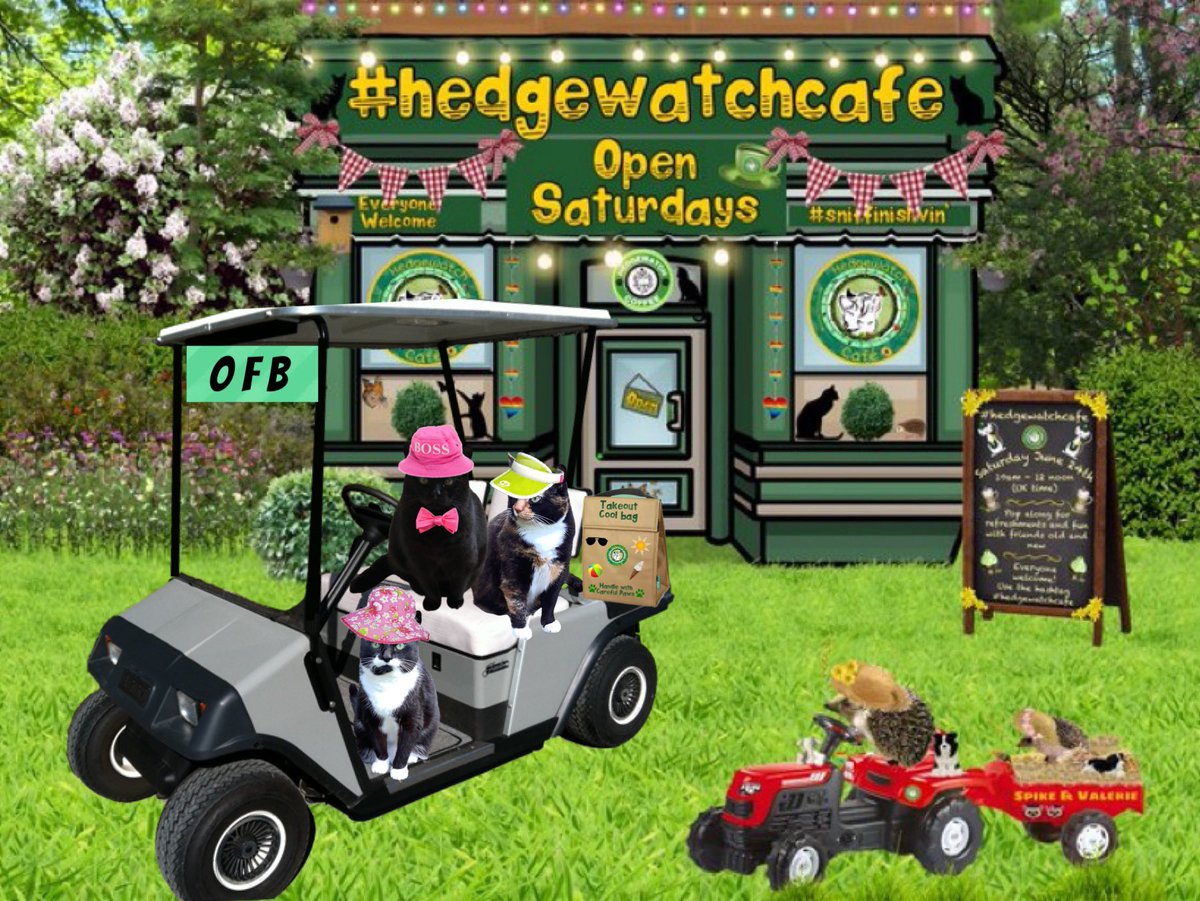 @MittensMia @Hedgewatchers @AnnebrindleAnne @MillieGangs @LisaCla29002177 @DomainDoris Thanks Mia purrfect just what we needed, see you all next week paw waves OFB #hedgewatchcafe