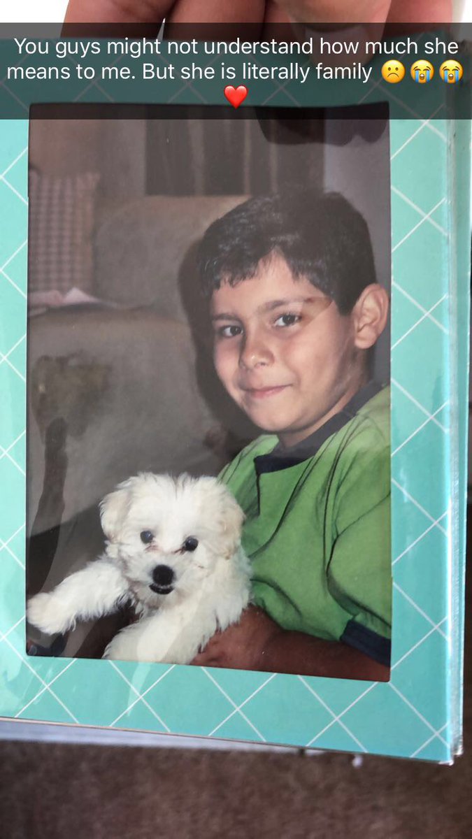 mrfluffy_'s tweet photo. My first ever pet best friend has passed away. Those of y’all that grew up with me know how much we loved kokito and know how much she meant to our family. We will miss you kokito❤️it is a sad day…..but shout out to my cousin for taking care of her in her later days🙏🏼 #ripkoko https://t.co/OvklTXRgXa