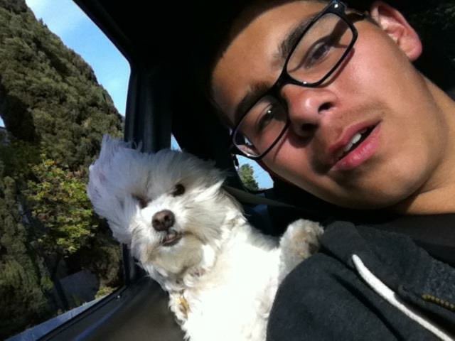 mrfluffy_'s tweet photo. My first ever pet best friend has passed away. Those of y’all that grew up with me know how much we loved kokito and know how much she meant to our family. We will miss you kokito❤️it is a sad day…..but shout out to my cousin for taking care of her in her later days🙏🏼 #ripkoko https://t.co/OvklTXRgXa