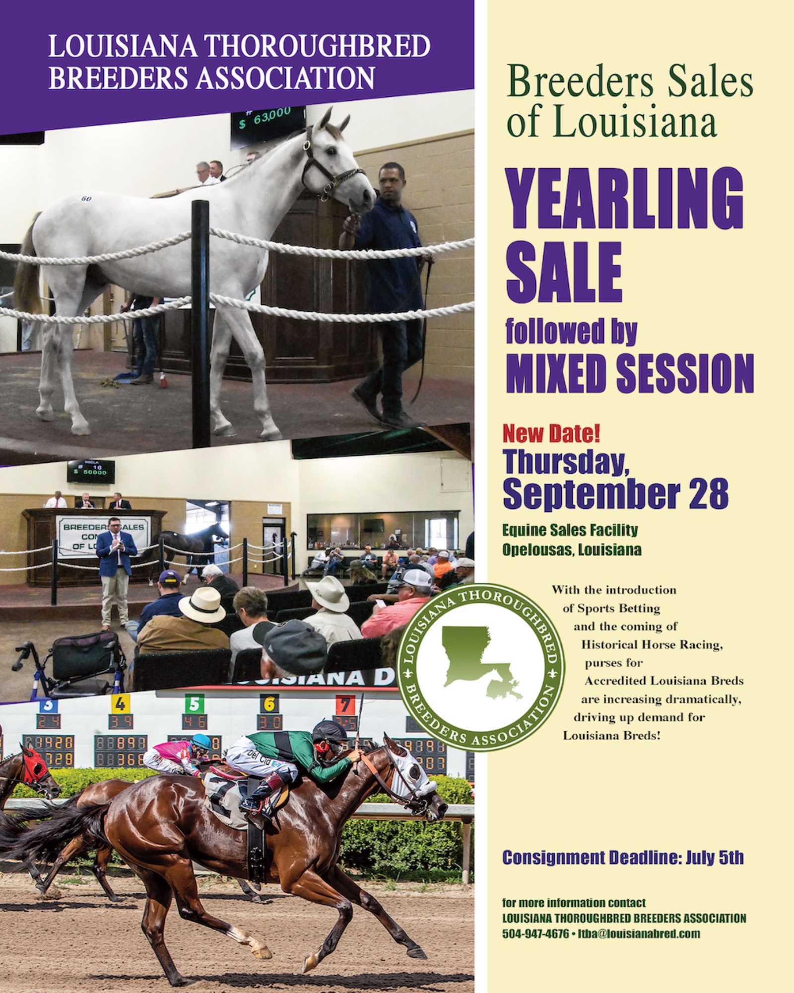 Louisiana Bred on Twitter "20203nBreeders Sales Company of Louisiana
