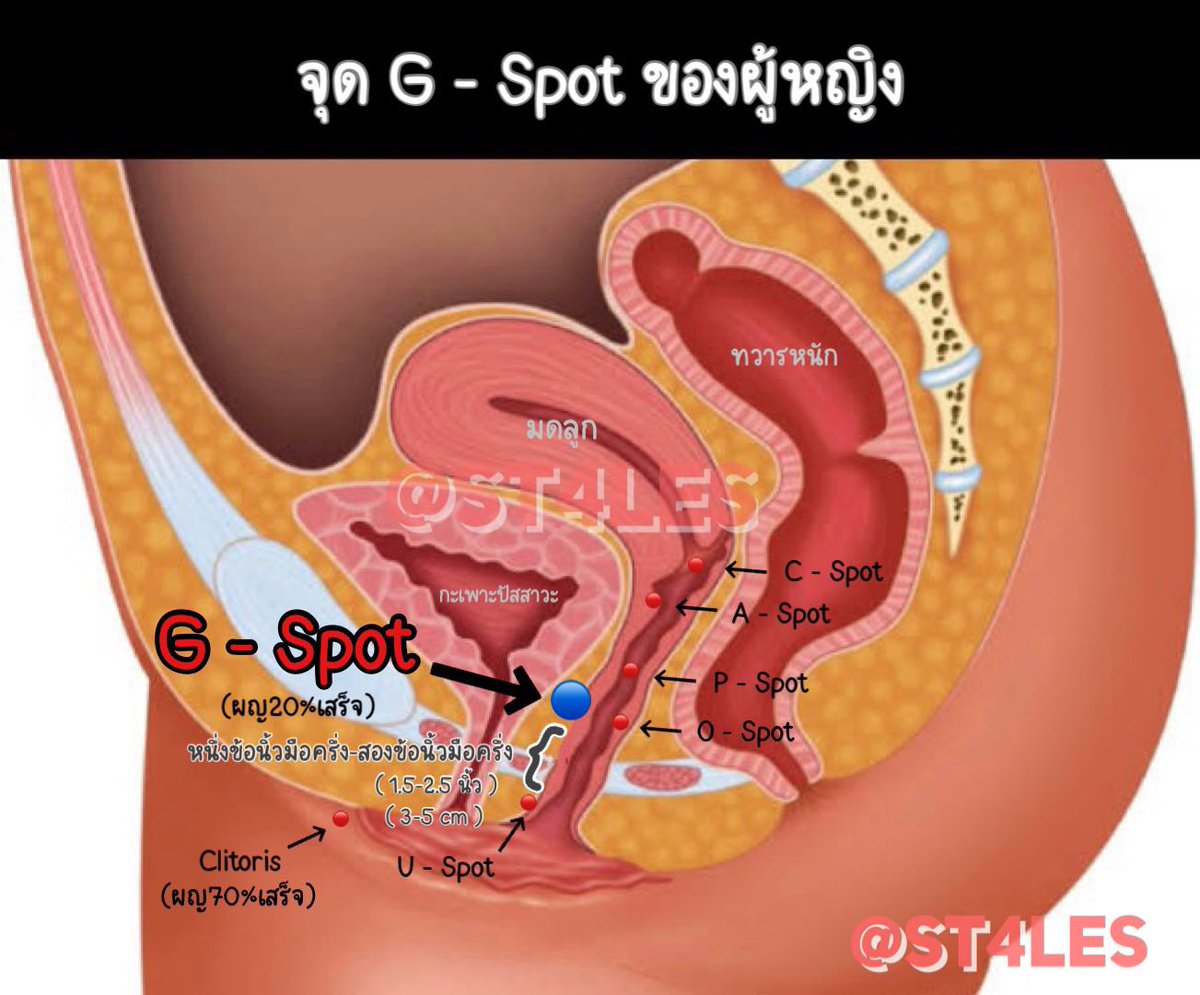 🏳️‍🌈เนื่องในเดือน Pride month มาสร้างค.เข้าใจทีถูกต้อง

กับประโยคทีว่า “นิ้วเย็นๆ หรือ จะสู้เอ็นอุ่นๆ”

คำตอบ คือ
=สู้ได้ และยิ่งไปกว่านั้น “นิ้วเย็นๆทำให้เสร็จมากกว่าเอ็นอุ่นๆอีกด้วย”

เหตุผลเป็นเพราะว่า=ผญเสร็จภายใน20%ส่วนใหญ่
เกิดขึ้นทีจุดG-spot เป็นจุดทีใช้นิ้วกระตุ้นได้ดีทีสุด