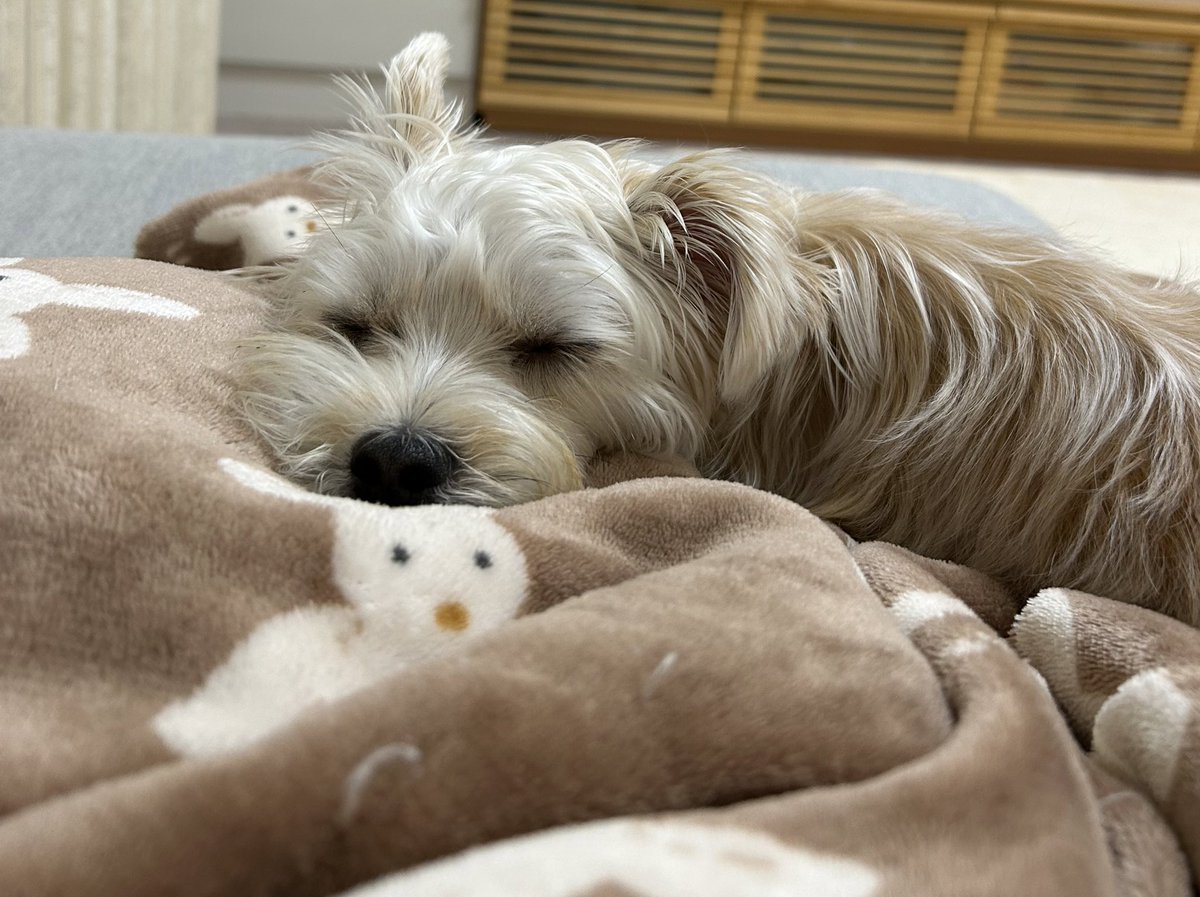 s_r0509's tweet photo. バイトも勉強も最近は早起きも頑張ってる私えらすぎ…

って自分で自分褒めないとやってられない😂

夜勉始めます📚🌙 https://t.co/LHfWdAvK42