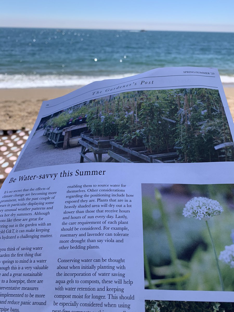 Good reading on the beach @TheGardensGroup now to train the #Loganberries to the right…thanks Sarah #gardeningadvice #beachreading