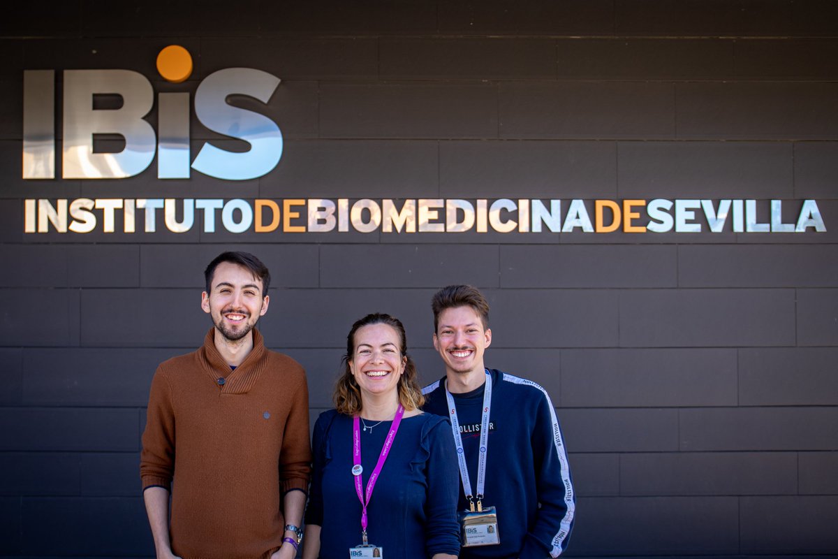 Aida Platero-Luengo 👩🔬🧠🔬 (@aidaplat) on Twitter photo Te gustaría iniciarte en la #investigacion biomédica?
En nuestro lab en <a href="/ibis_sevilla/">IBiS</a>, aplicamos tecnologias como la #reprogramacion celular para promover la regeneración en el #cerebro. Solicita con nosotros la BECA DE COLABORACIÓN de la <a href="/unisevilla/">Universidad de Sevilla</a> <a href="/InvestigaUS/">Investigación US</a> Te gustaría iniciarte en la #investigacion biomédica?
En nuestro lab en <a href="/ibis_sevilla/">IBiS</a>, aplicamos tecnologias como la #reprogramacion celular para promover la regeneración en el #cerebro. Solicita con nosotros la BECA DE COLABORACIÓN de la <a href="/unisevilla/">Universidad de Sevilla</a> <a href="/InvestigaUS/">Investigación US</a>