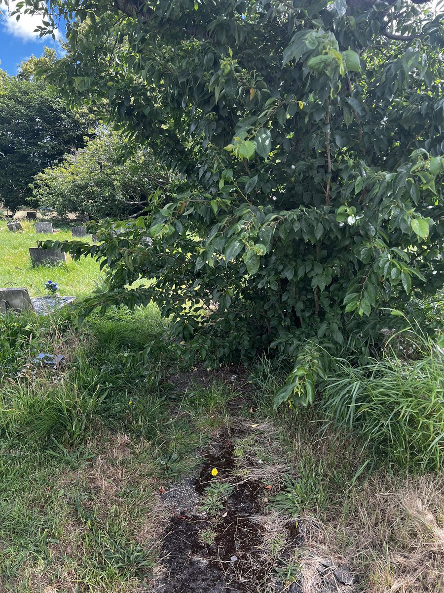 itsjamieex's tweet photo. @EnfieldCouncil @BBCNews @itvnews @TheGardianNews @TheSun @MailOnline @Telegraph @DailyMailUK Hello. What I can not understand is that although you say 3/4 has been maintained there still lays the rest of the cemetery. I have just visited once again to see no progress on the back half where one of my family graves is present. (1/2) https://t.co/irtHnRUQKW