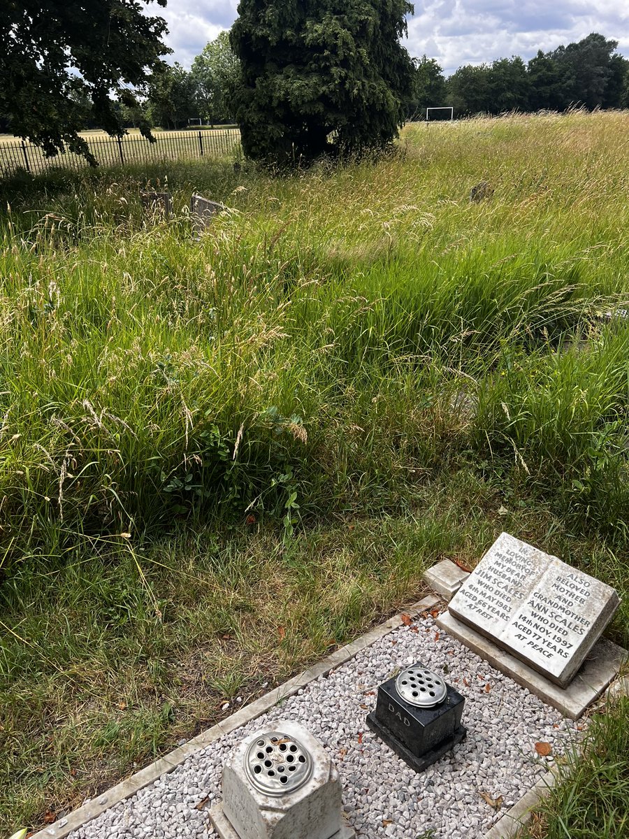 itsjamieex's tweet photo. @EnfieldCouncil @BBCNews @itvnews @TheGardianNews @TheSun @MailOnline @Telegraph @DailyMailUK Hello. What I can not understand is that although you say 3/4 has been maintained there still lays the rest of the cemetery. I have just visited once again to see no progress on the back half where one of my family graves is present. (1/2) https://t.co/irtHnRUQKW