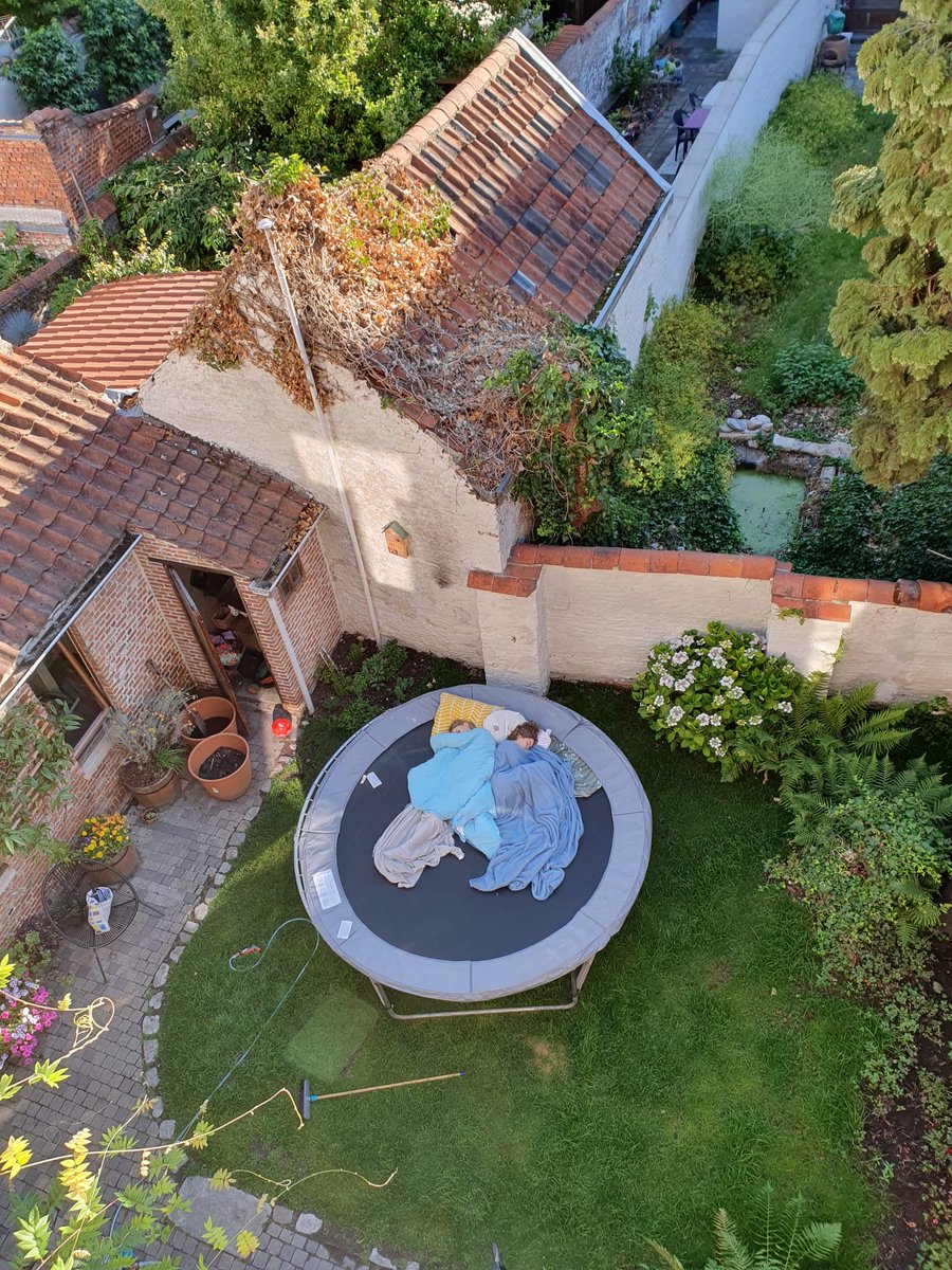 Evelien Storme tweet media