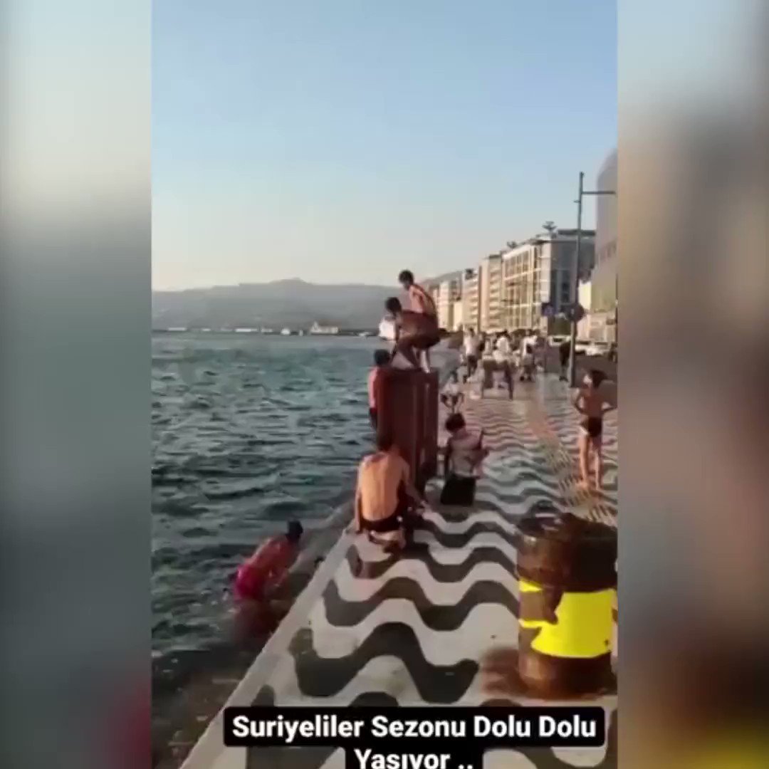 kaangr2's tweet photo. @tuncsoyer Tunç Soyer'in bahsettiği balıklar ektedir https://t.co/ZEbXlO0DN7
