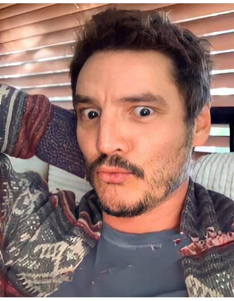 kels-41-days-on-twitter-what-a-silly-little-guy