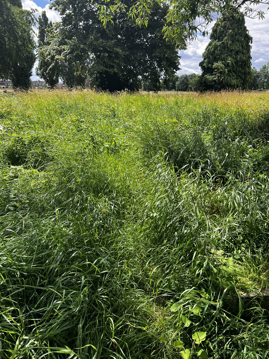 itsjamieex's tweet photo. @EnfieldCouncil @BBCNews @itvnews @TheGardianNews @TheSun @MailOnline @Telegraph @DailyMailUK Continued; I physically can not access one of the headstones of my family as it is situated in think overgrowth. The pathways are inexcusable and un even. My grandad can not even get fair enough to make sight. Little to no progress has been made since my previous visits. (2/2) https://t.co/XInIjrHxvu