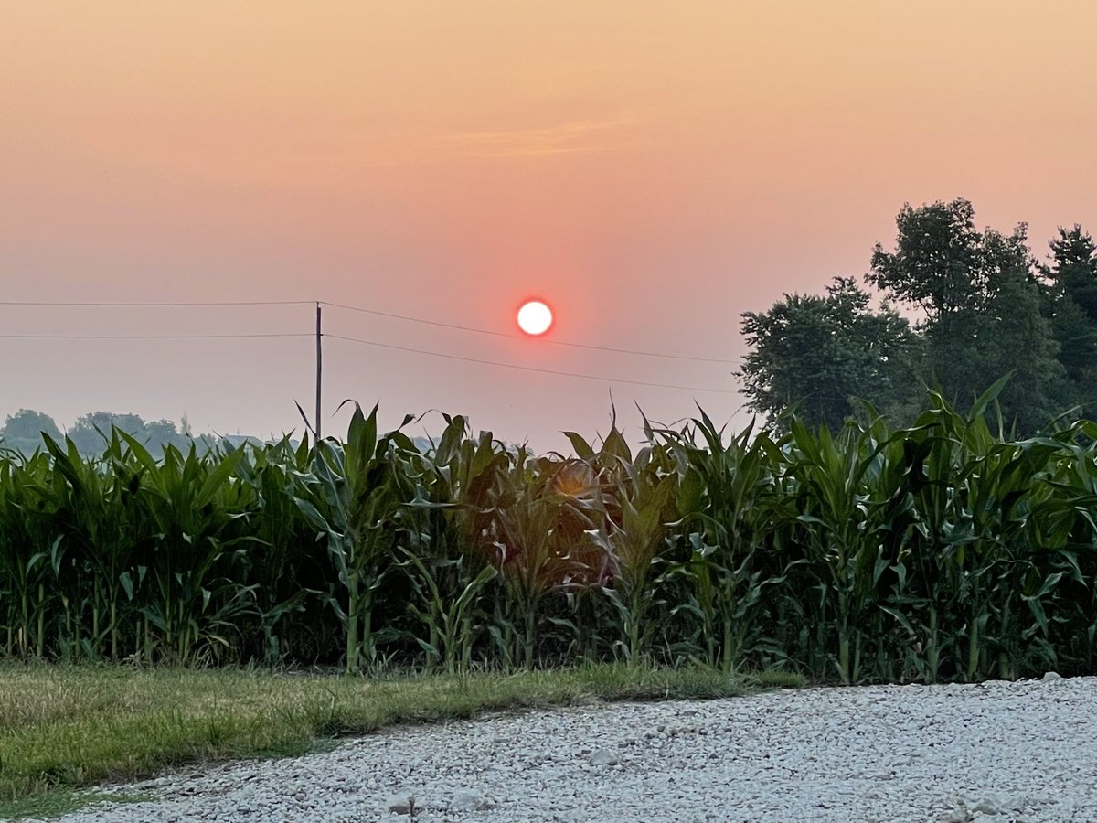 Beautiful #carlockIL