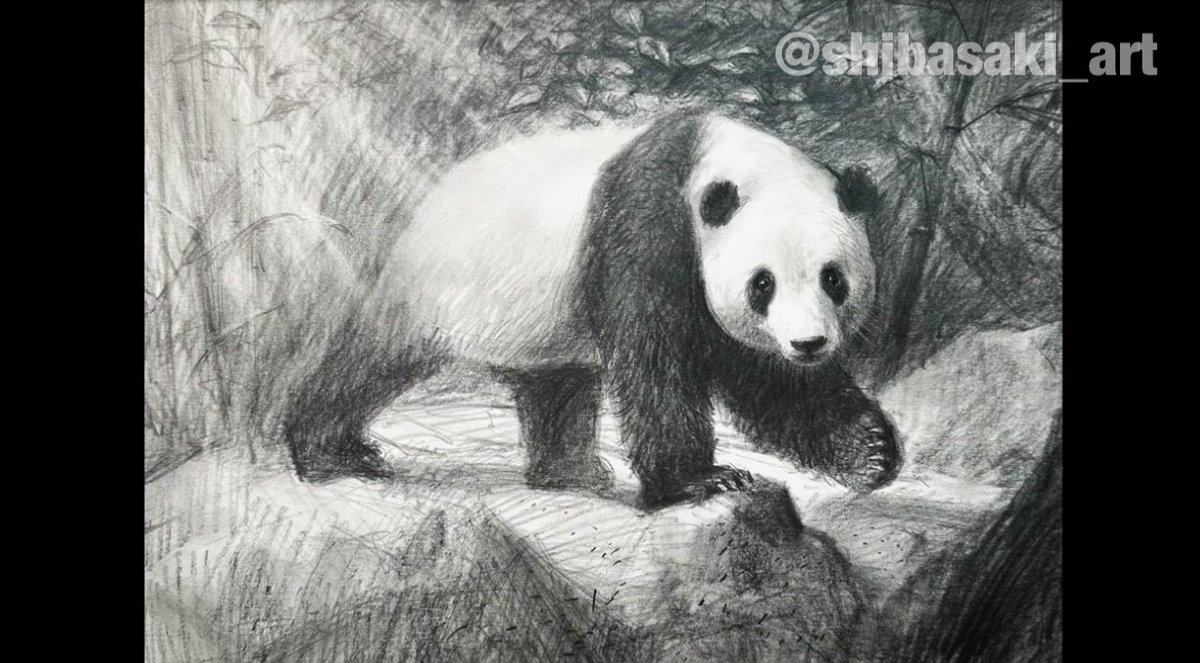 新しい動画です☆ 簡単お絵描き✏️10Bの鉛筆でパンダさんを可愛く描いてみた！

YouTube: Watercolor by Shibasaki 
youtu.be/_VxQA99nnR8
