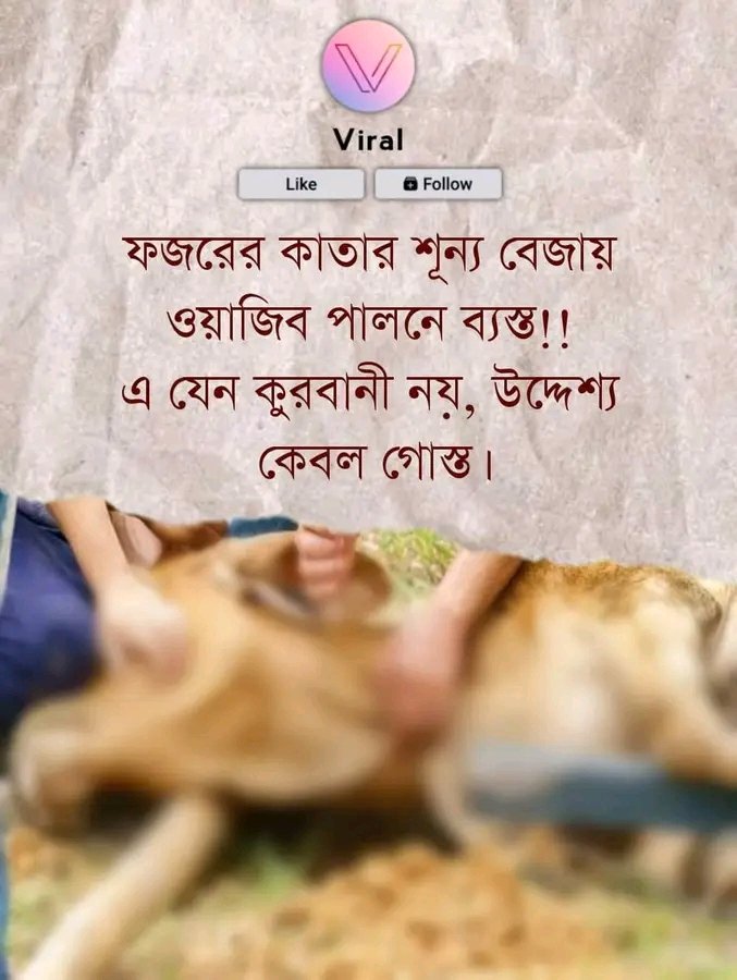 MohammadMohon99's tweet photo. ফজরের কাতার শূন্য বেজায় ওয়াজিব পালনে ব্যস্ত!!
এ যেন কুরবানী নয়, উদ্দেশ্য কেবল গোস্ত। https://t.co/rszlyaRh1i