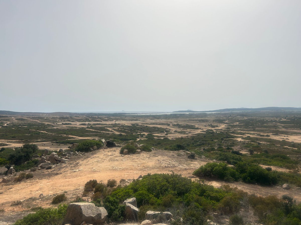 MDD Motorsport tweet media