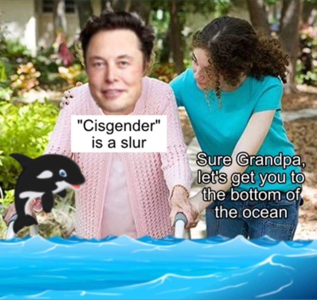 Scarlet Begonias (@begoniazz) on Twitter photo 