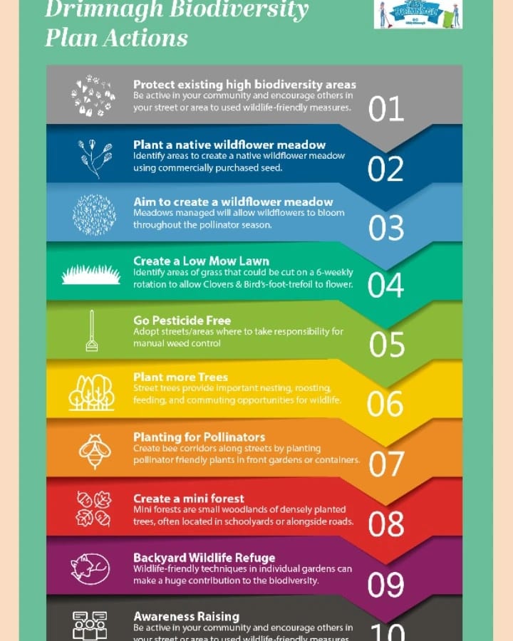 Launching at 1pm The Drimnagh Biodiversity Plan <a href="/RichBarracks/">Richmond Barracks</a> . Go over &amp; say hello. #Drimnaghfestival