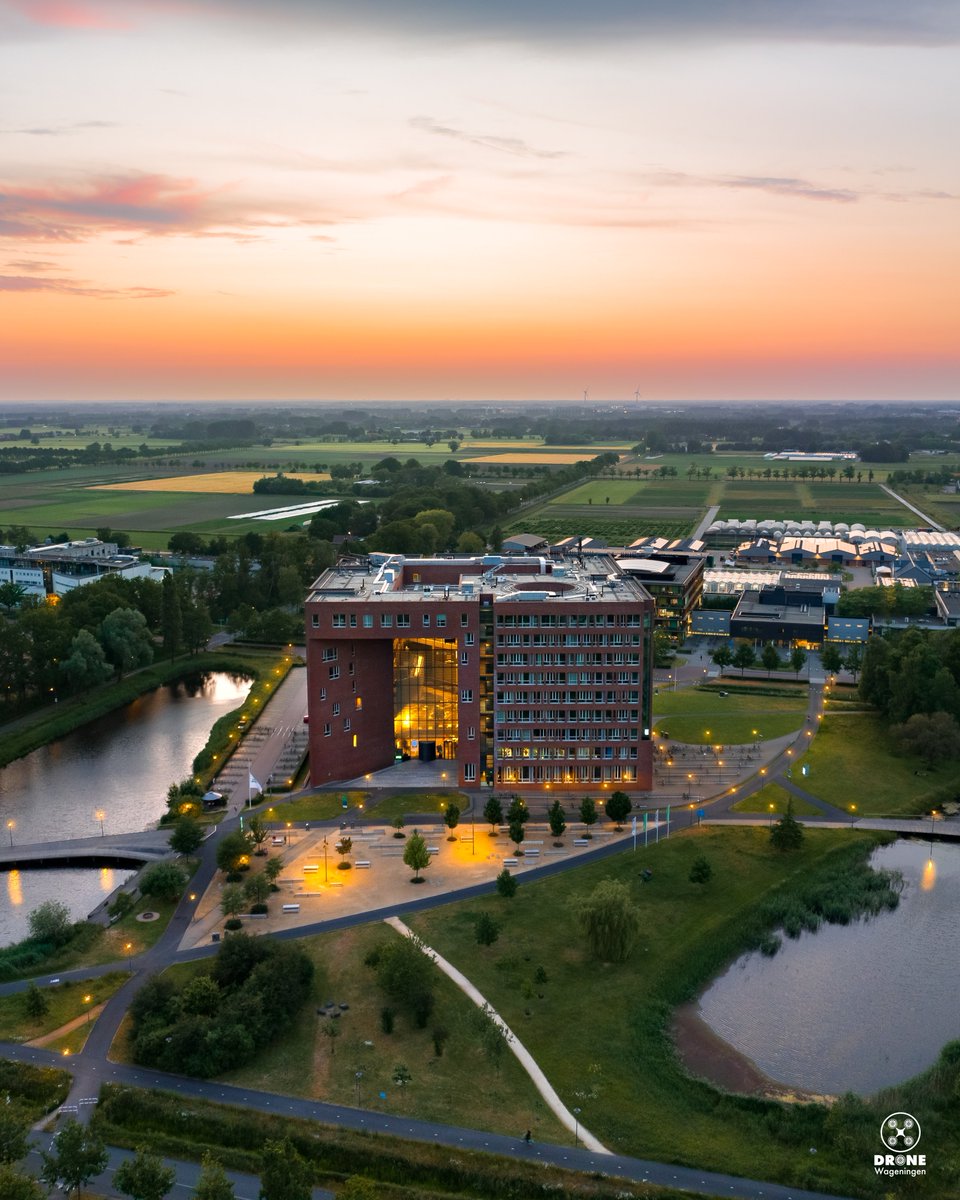 New drone workshops available!🚁I’ll be giving 2 group workshops at 8 & 15th of July. Limited space! Moreover this summer I’ll be giving private workshops as well. Curious about drone flying and photography? Sign up at dronewageningen.nl😁#workshop #droneflying #wageningen