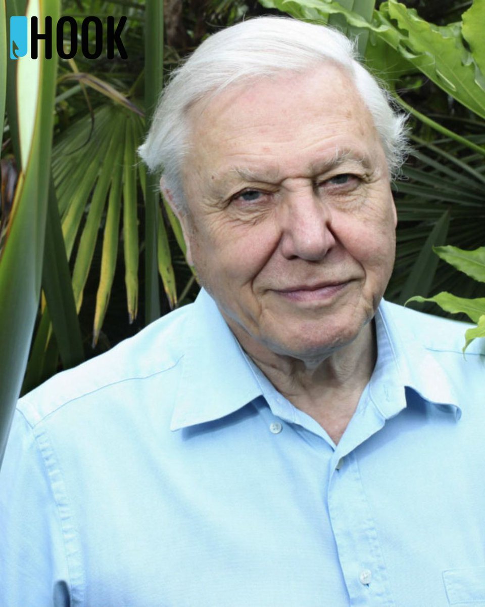 Hook Research tweet media