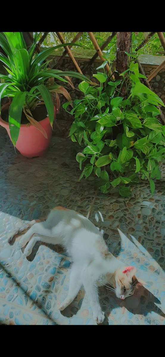 Greenery 💚💚💚