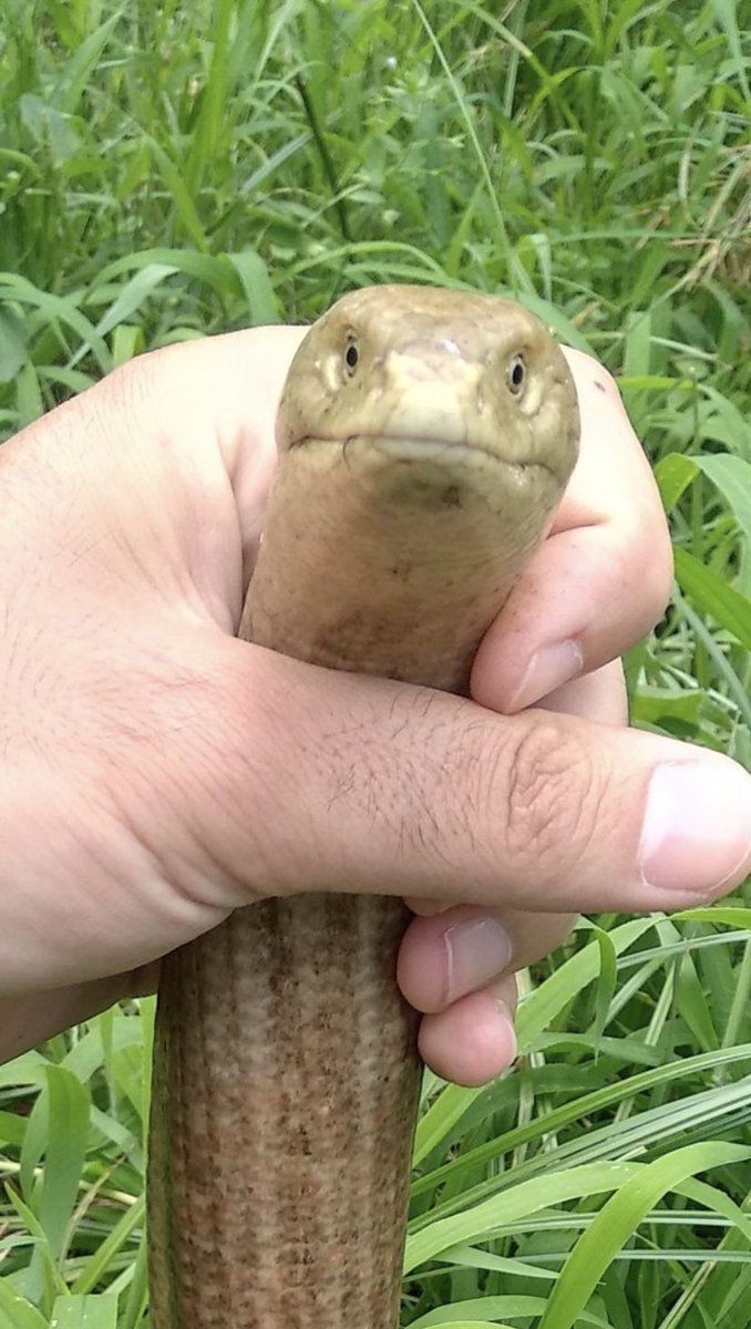 girls send nudes / boys send nudes