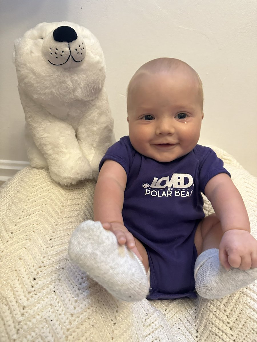 MrsLaneSMEK's tweet photo. Our little bear cub is finally big enough to show off his purple and white! Thank you so much @NYCSDsupt and @NorthernYorkSD. He’s already all smiles and ready to cheer on his polar bears this upcoming season! 💜🤍🐾

@SMEPolarBears https://t.co/krXmoJzs2k