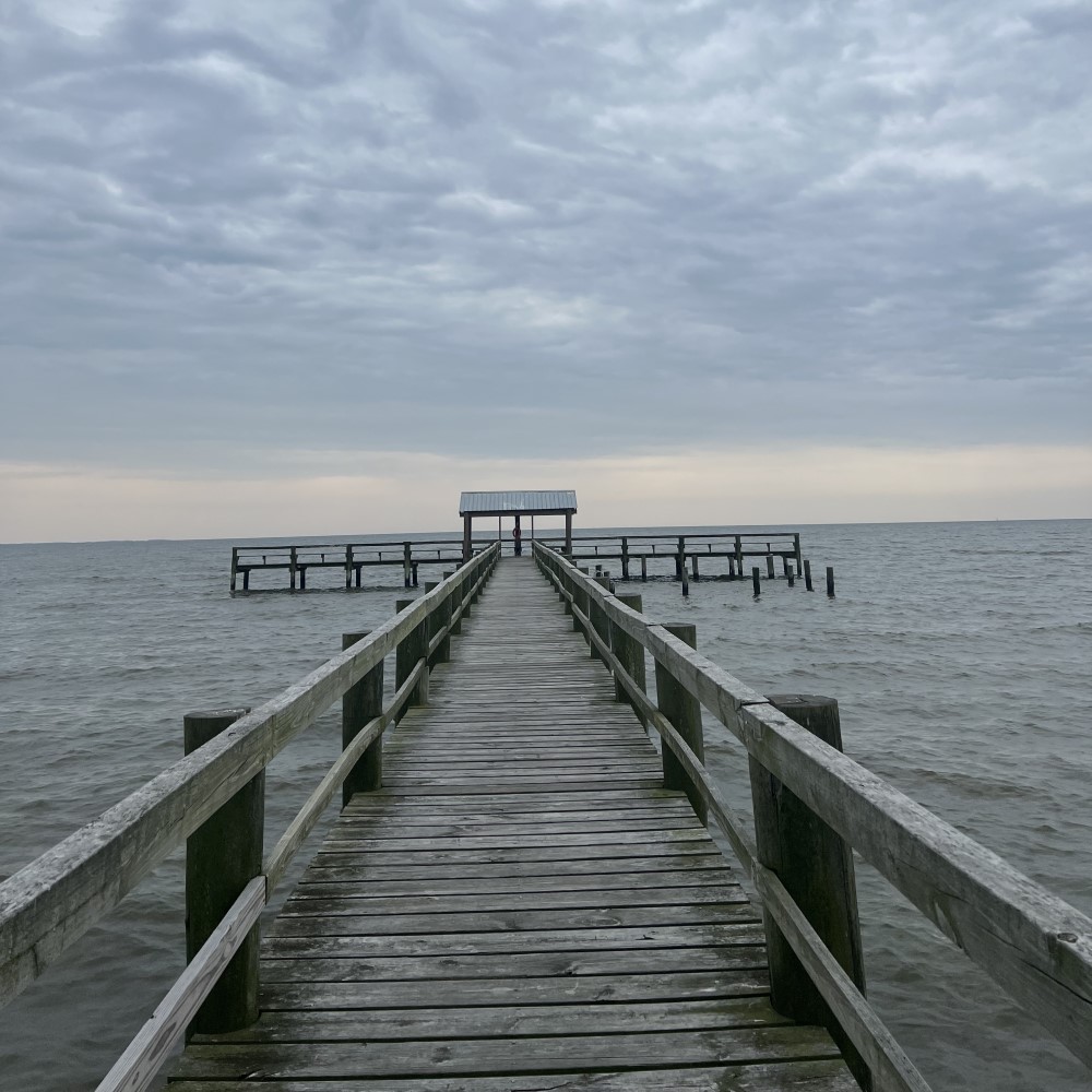 AAHealth_Water's tweet photo. Latest Recreational #WaterQuality Report for #AnneArundel County #HealthyBeaches. #ChesapeakeBay, #MagothyRiver, #PatapscoRiver, Rhode River, #SevernRiver, South River, West River, Stoney Creek, Weems Creek. https://t.co/QUJH4LWdDC https://t.co/93kPz9C1dq