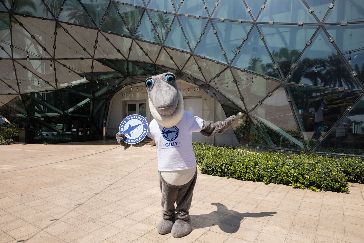 MoteMarineLab's tweet image. Mote Members can now use their membership for entrance to @TheDali for FREE during the entire month of June 🖼

For more FINfo make sure to visit mote.org/membership OR call the reciprocal institution for more details 🦞📞

#motemarinelab #thedali #lovefl #salvadordalí