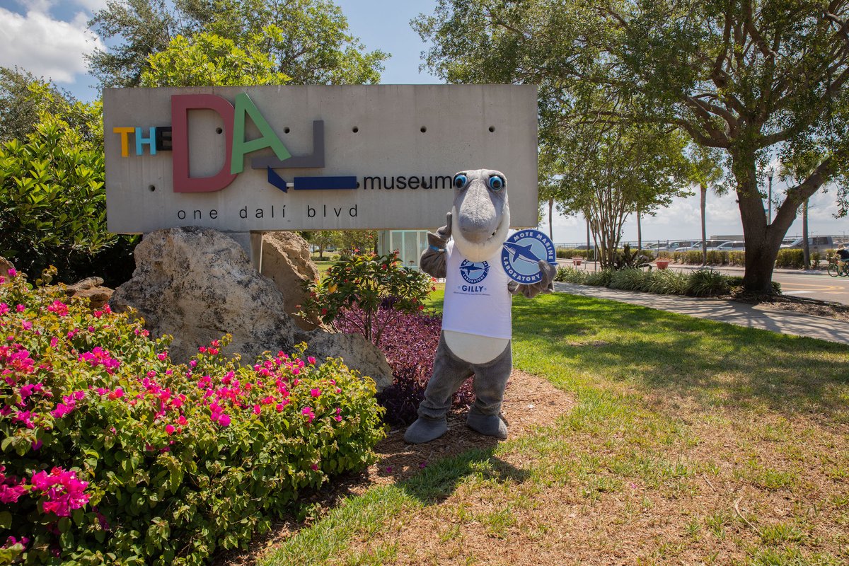 MoteMarineLab's tweet image. Mote Members can now use their membership for entrance to @TheDali for FREE during the entire month of June 🖼

For more FINfo make sure to visit mote.org/membership OR call the reciprocal institution for more details 🦞📞

#motemarinelab #thedali #lovefl #salvadordalí