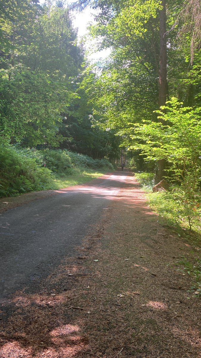 Kilbroney Forest Rostrevor for the vitus first tracks enduro cup round 3. #vitus #enduro #mtb #kilbroney #rostrevor