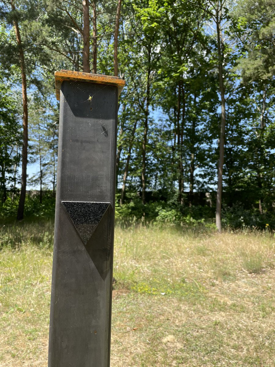 nikolas lelle (offline) tweet media