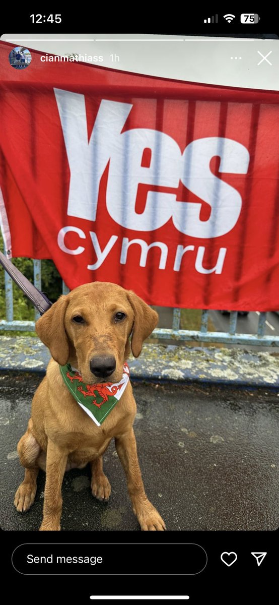 nic_math70's tweet photo. Teifi joio #bannersonbridges Llanelli bore ma 🏴󠁧󠁢󠁷󠁬󠁳󠁿 #baneriarbontydd #Annibyniaeth #YesCymru #indypup 💪🏽🏴󠁧󠁢󠁷󠁬󠁳󠁿❤️ https://t.co/fnjO26sraj