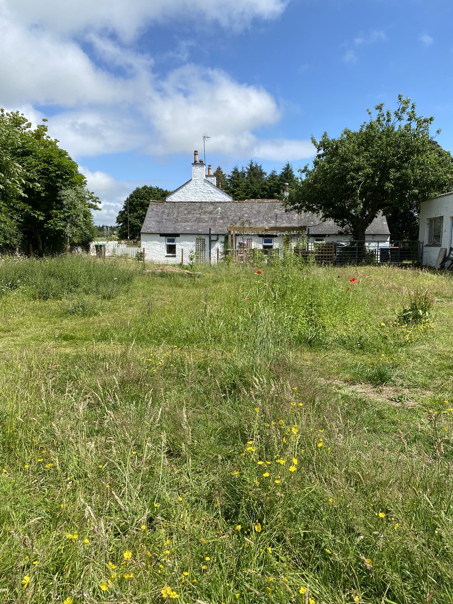 SE2SWretreat's tweet image. Our cottage is looking absolutely beautiful today. Still two bits of July available, 2nd-8th &amp;amp; 15th-22nd. Writers’ rate £750 a week (sleeps 6 in 3 bedrooms, 2 sitting rooms, 2 bathrooms: desks everywhere except the bathrooms). RTs welcome. ❤️sw🏴󠁧󠁢󠁳󠁣󠁴󠁿