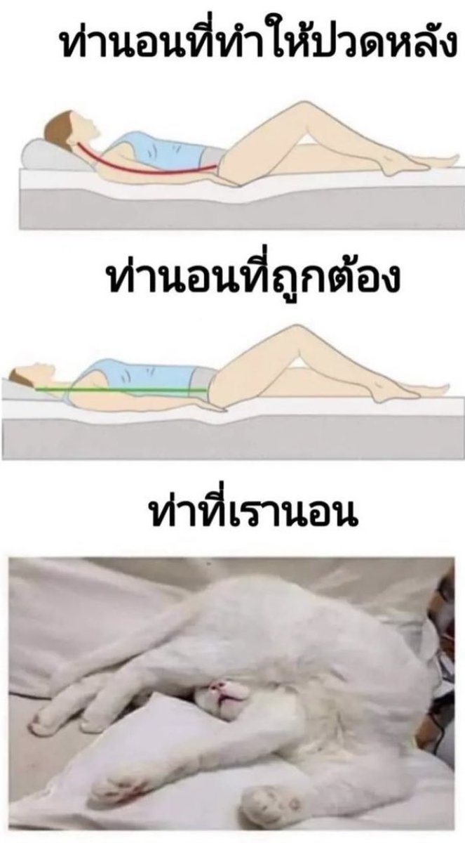คนอยากเขียน. tweet media