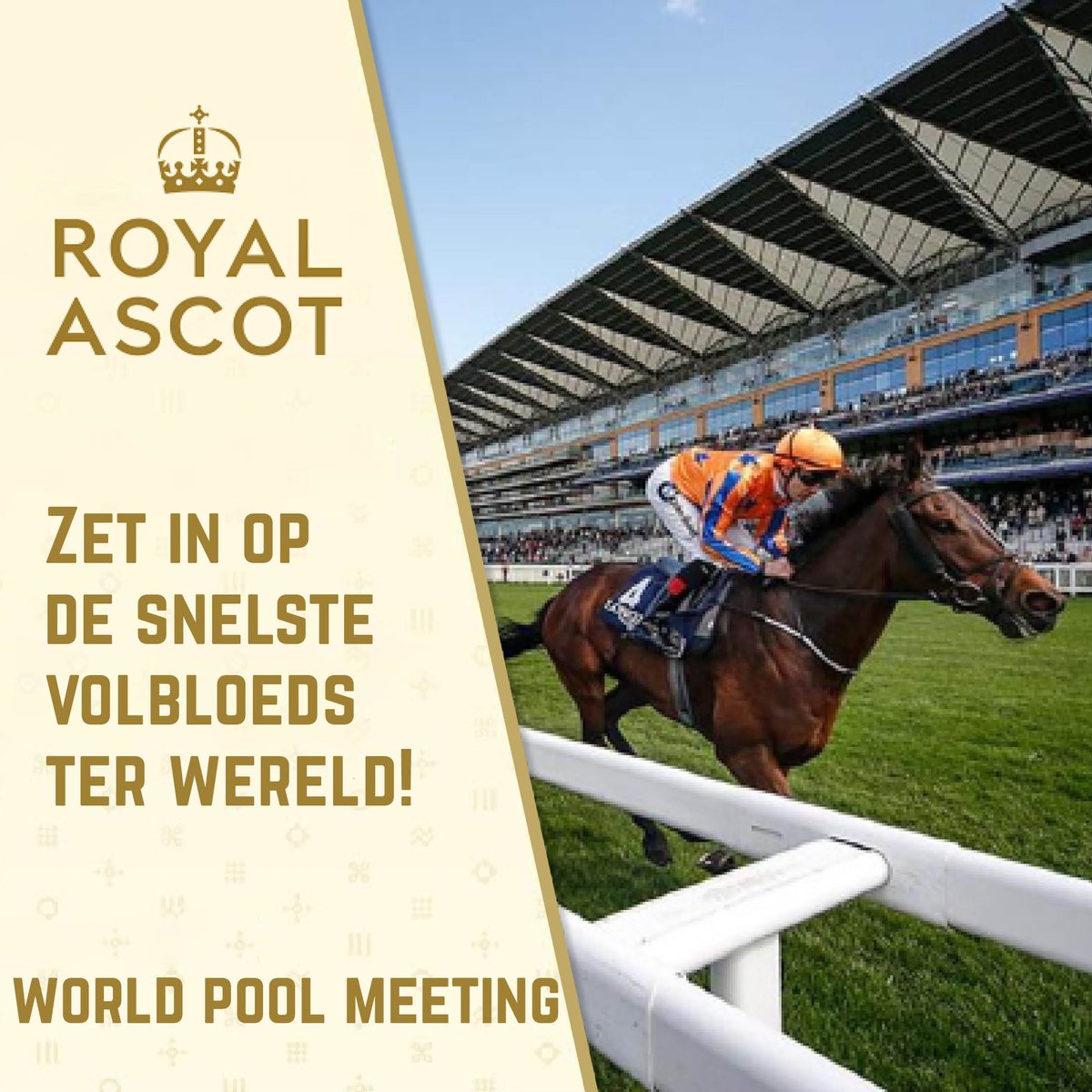 Op zaterdag werd altijd de 𝐏𝐥𝐚𝐭𝐢𝐧𝐮𝐦 𝐉𝐮𝐛𝐢𝐥𝐞𝐞 𝐒𝐭𝐚𝐤𝐞𝐬 verreden tijdens #RoyalAscot. Nu, ter ere van de nalatenschap van koningin Elizabeth II, zal deze race verder zal gaan als: 𝐓𝐡𝐞 𝐐𝐮𝐞𝐞𝐧 𝐄𝐥𝐢𝐳𝐚𝐛𝐞𝐭𝐡 𝐈𝐈 𝐉𝐮𝐛𝐢𝐥𝐞𝐞 𝐒𝐭𝐚𝐤𝐞𝐬.
