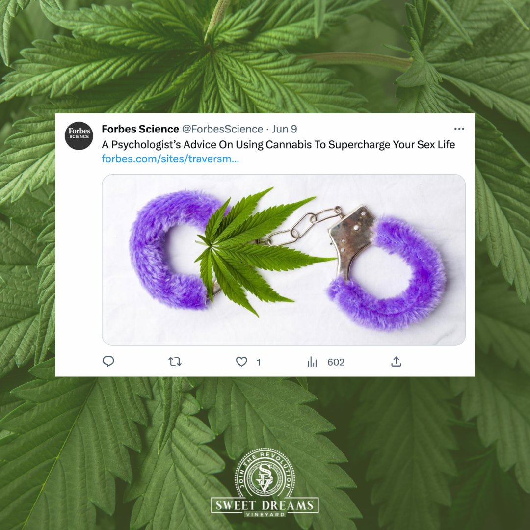 sd_vineyard's tweet photo. It's no secret that marijuana can increase sexual pleasure for some people.

A 2019 study published in Sexual Medicine found that women who used marijuana before sex were twice as likely to report satisfying orgasms compared to women who didn't. https://t.co/GUufYprh6n