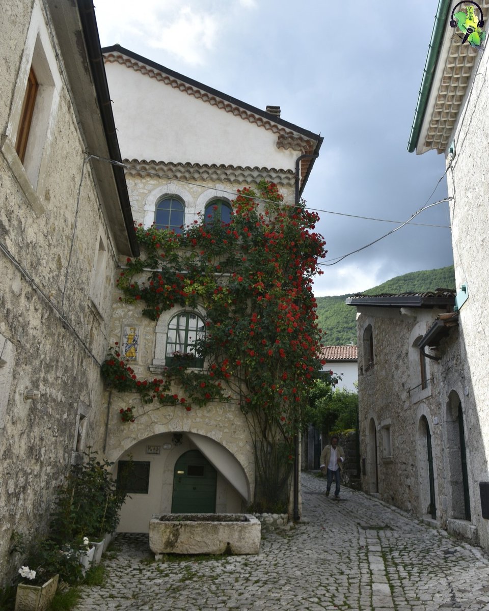 RadioParco's tweet photo. #Rose fiorite a #CivitellaAlfedena
24 giungo 2023
📷 Mara Cinti
#ParcoNazionaledAbruzzoLazioeMolise
#Abruzzo #AltoSangro #montagna #paesi #estate #fiori https://t.co/IFQd5s1Xu8