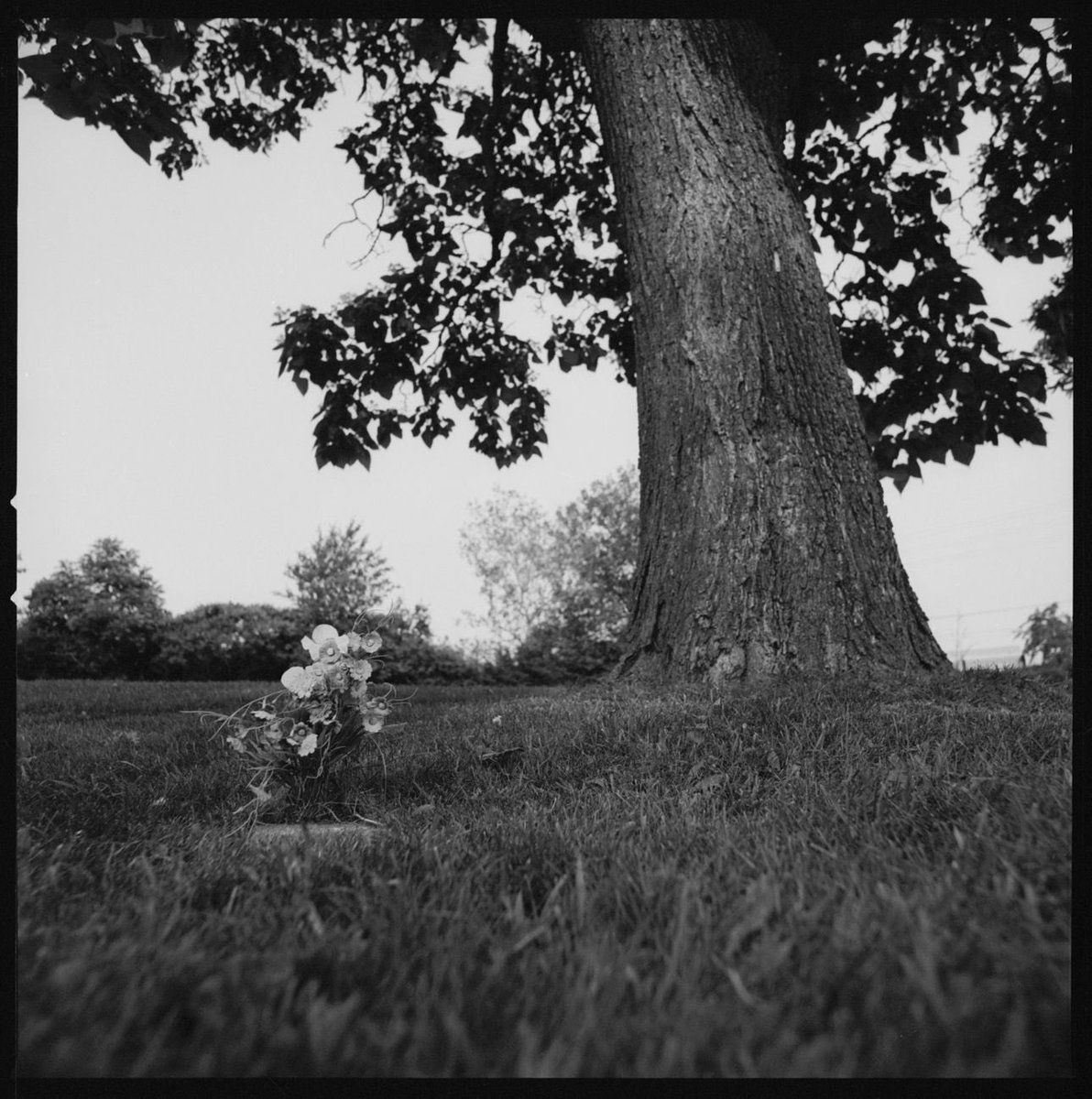 There are 1,511 souls buried mostly in unmarked graves, just off the Gardiner Expressway, in Toronto. How many are Indigenous? Possibly dozens, including my kin, Annie Gauthier (Carpenter), who disappeared in 1930 after being sent to the Ontario Hospital. theglobeandmail.com/opinion/articl…