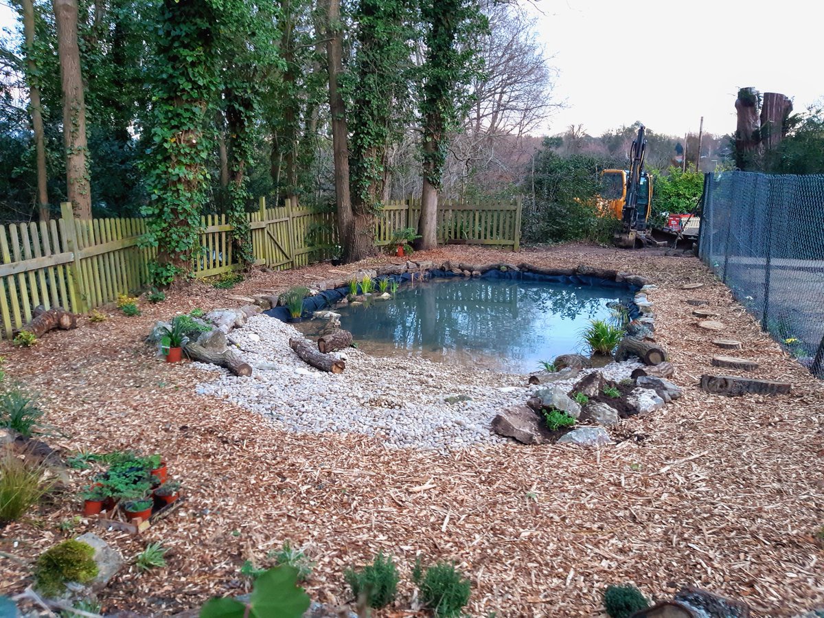 debbie42000's tweet photo. @_JoelAshton We built our new school pond in February - kids are absolutely fascinated. So much wildlife already. Dx https://t.co/swECi2sjd9