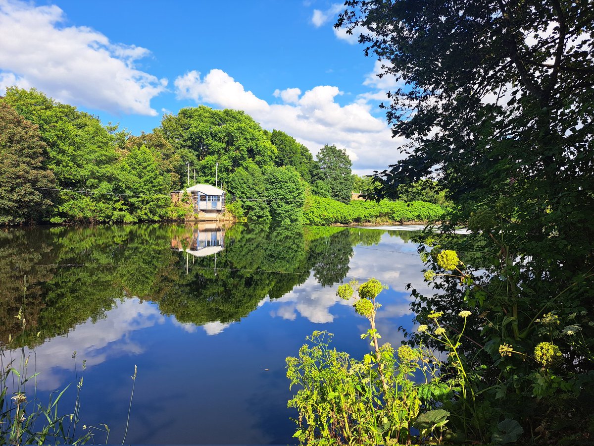 loopylisa_'s tweet photo. On a bike ride and caught some sunny reflections at Howley Weir on the River Mersey https://t.co/CQX4soZ8Yq