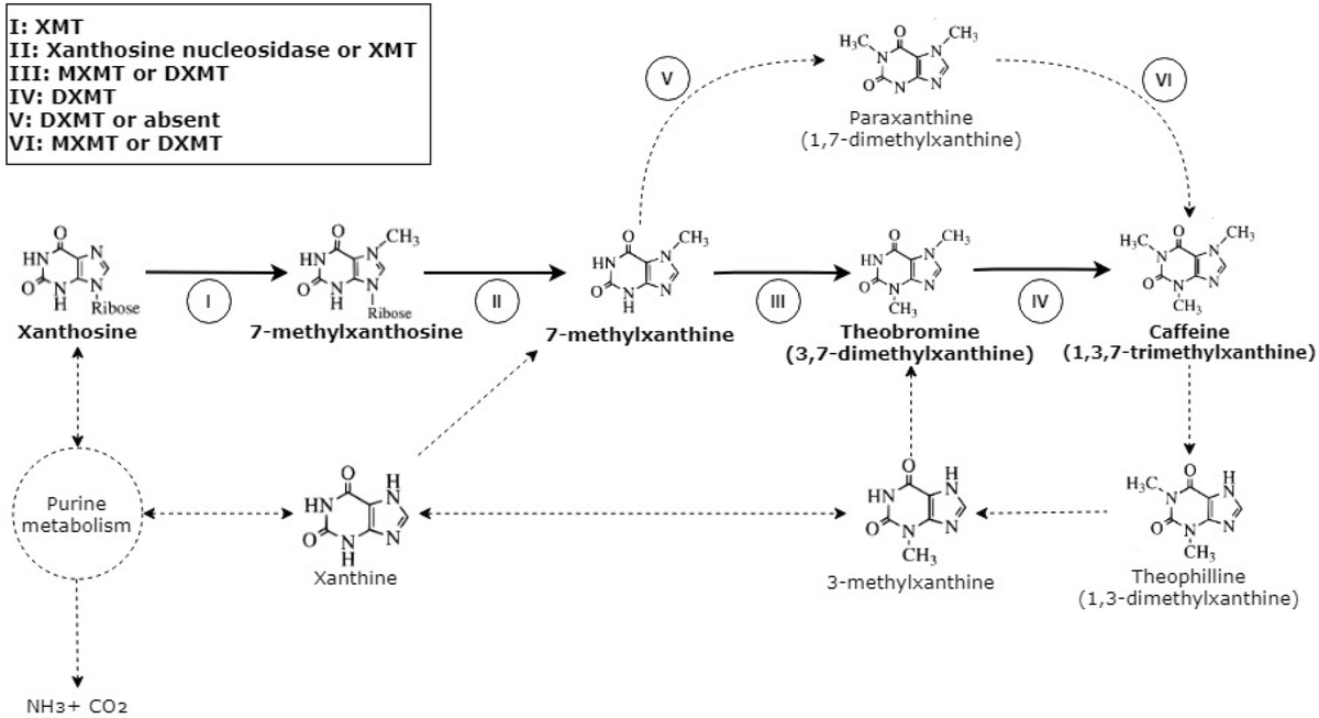 Niko McCarty 🧫 on Twitter "Prior studies have also used CRISPR/Cas9