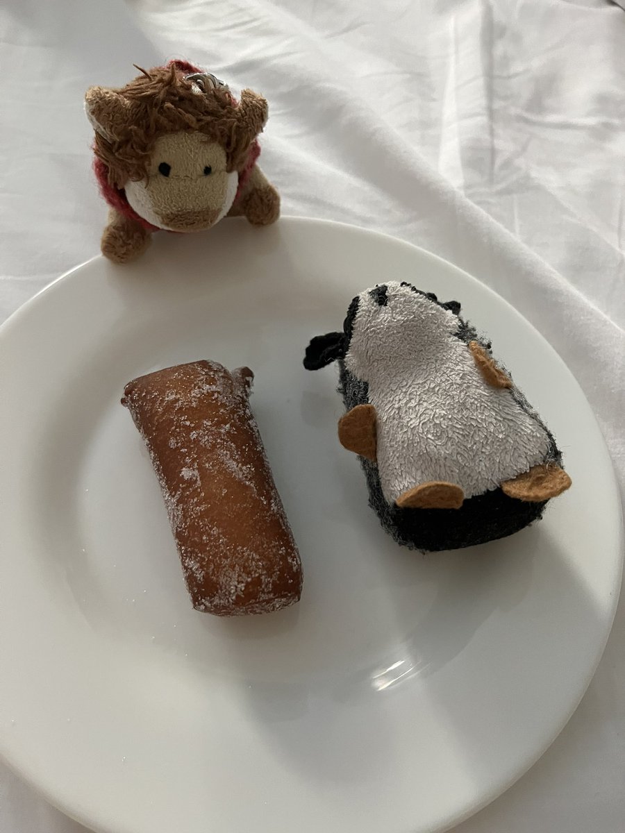 MrFHBear's tweet image. Badger is assembling some sort of complicated argument to the effect that as he looks like a beignet, then he is Lord of Beignets and all beignets fall within what he is referring to as his ‘purview’.