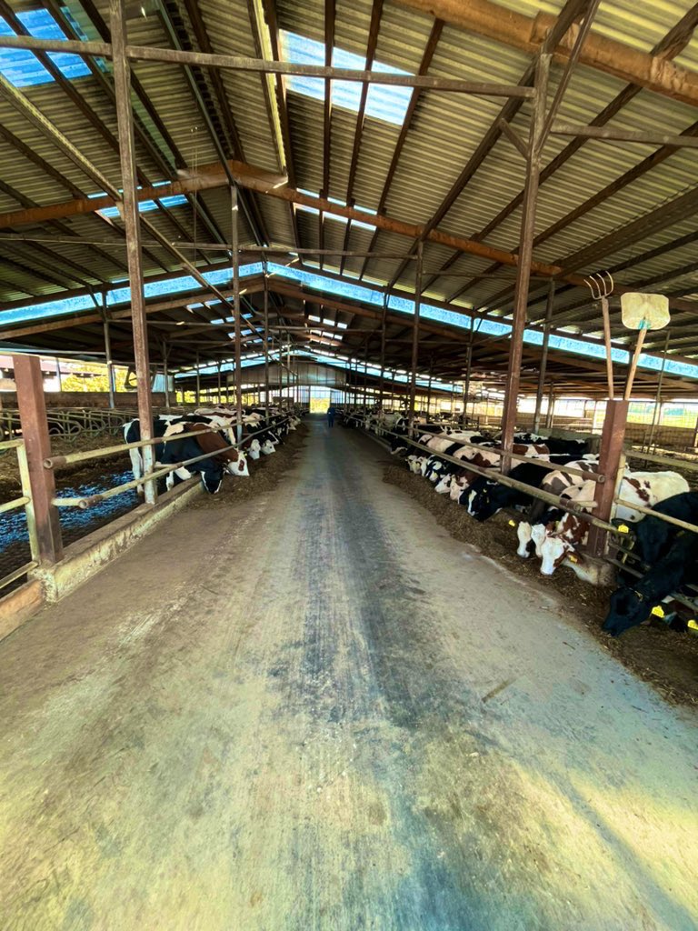 TitusAlex888's tweet photo. @Bitcoin_Whales_ Whales ๐ณ probably also need a veterinarian. ๐ ๐ฉบ #getwed from June 30th I hope to leave my cow ๐farms and go to the ocean to help whales ๐งก๐ณ๐ #getwed https://t.co/xx5So1kOpJ