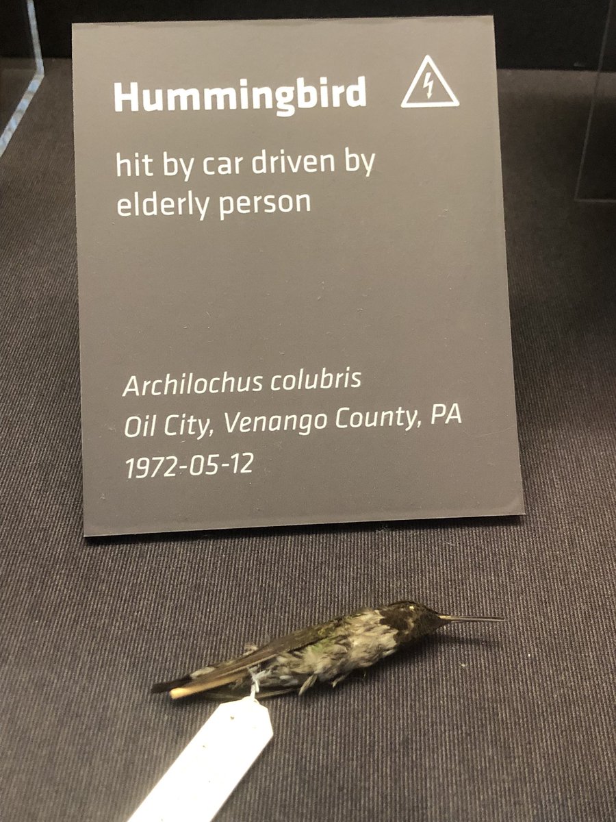 Andrew Shtulman tweet media