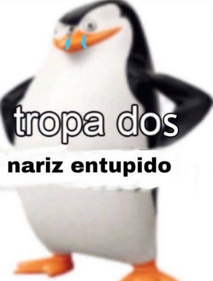 Shitpost só que de verdade (@shitpostverdade) on Twitter photo 